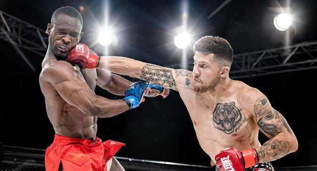 Las MMA españolas despegan