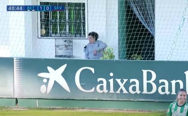 La realización televisiva ofrece la imagen de una aficionada en el derbi sevillano con un loro.  DAZN