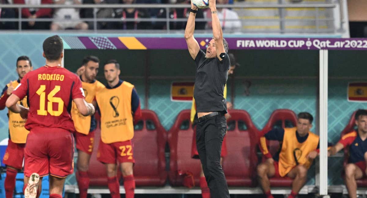 El banquillo de España, ante Japón.