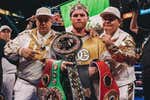 ¿Cuáles son los organismos que regulan el boxeo profesional?