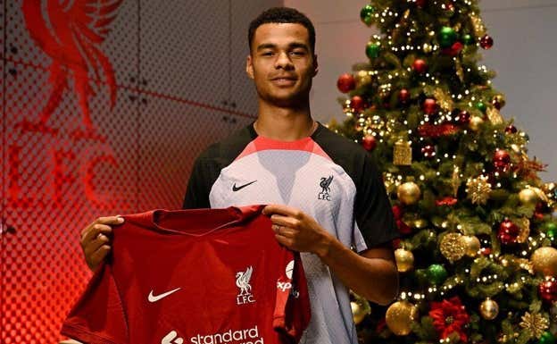 El Liverpool ha fichado a Cody Gakpo, una de las sensaciones del Mundial. En España no hay movimientos.  INSTAGRAM