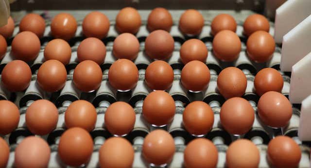 Un desliz, 34 huevos y un positivo por dopaje: «No puede ser, el cuerpo tiene límites»