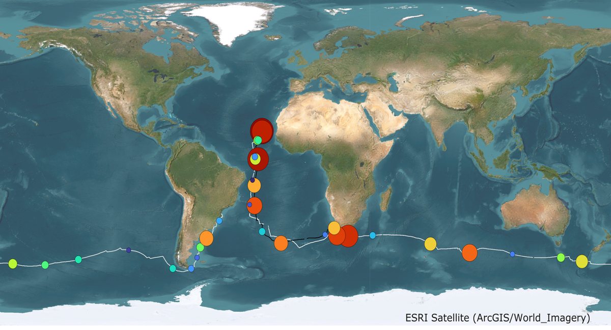 Mapa con la concentración de microplásticos. /THE OCEAN RACE