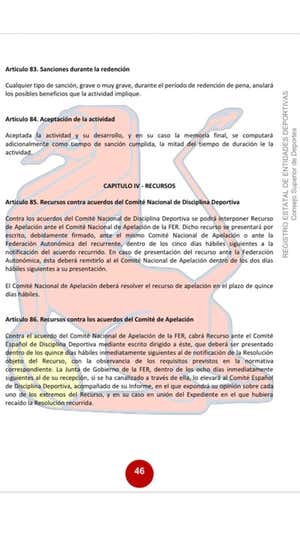 Artículo 83 del Reglamento de Partidos y Competiciones.  Ferugby