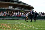 La fiebre naranja provoca el caos en Wimbledon y obliga a parar dos partidos