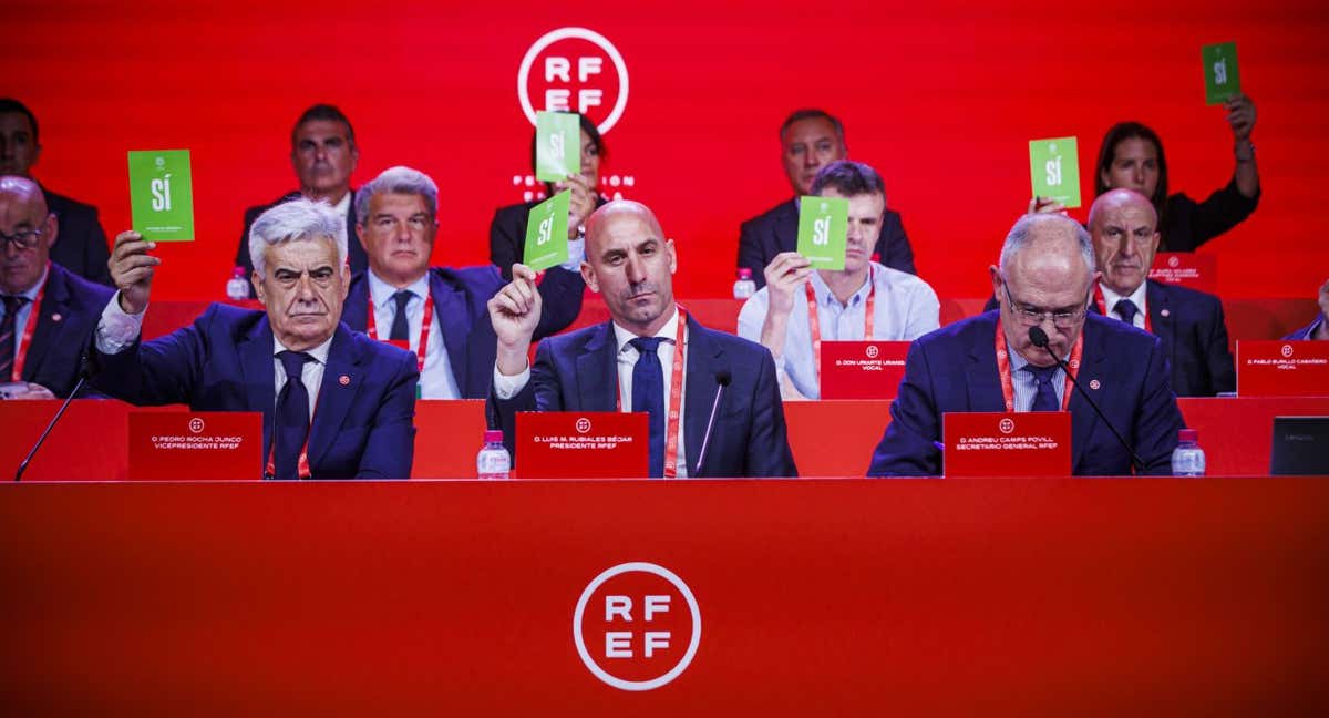 Luis Rubiales durante una votación en una Asamblea Extraordinaria de la RFEF./EFE