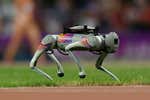 Un perro robot viral es sólo un aviso de lo que tiene preparado China con la IA en sus Juegos Asiáticos