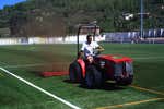 Los árboles y el pádel tienen la solución al problema del césped artificial y dos clubes de Primera se han adelantado