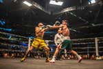 Las Casino Boxing Series buscan un nuevo rey
