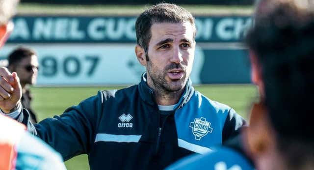 Cesc Fábregas, ante su debut con el Como: «Estaré sólo un mes, no tengo el título de entrenador»