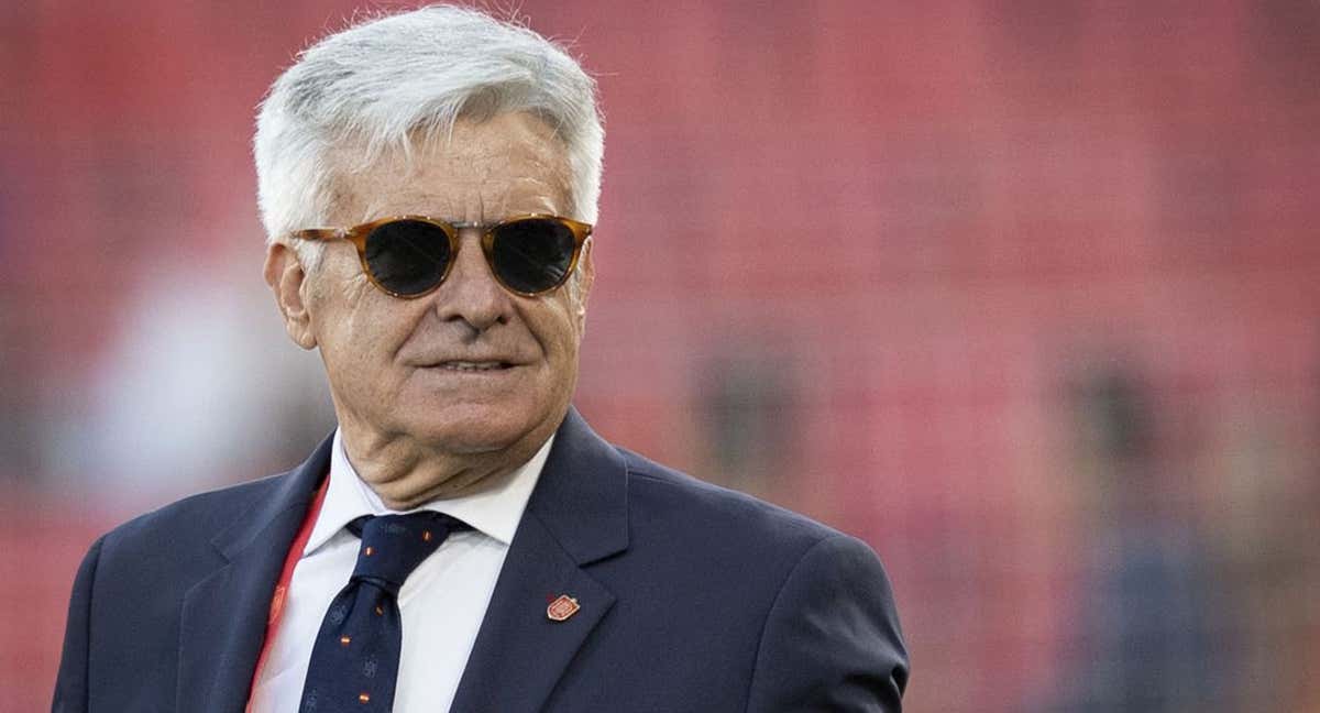 Pedro Rocha, presidente de la Comisión Gestora de la RFEF.