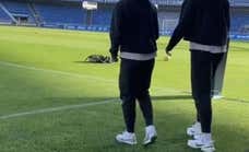 El arma del Costa Adeje para recibir al Barça: estrechar el Heliodoro... ¡5 metros!