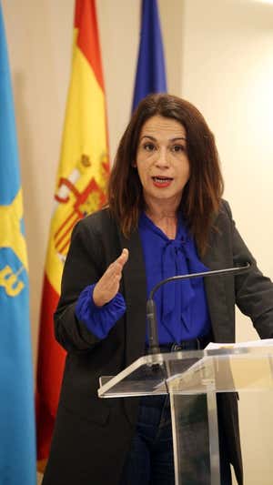 Silvia Cazón, nueva directora de la CELAD.