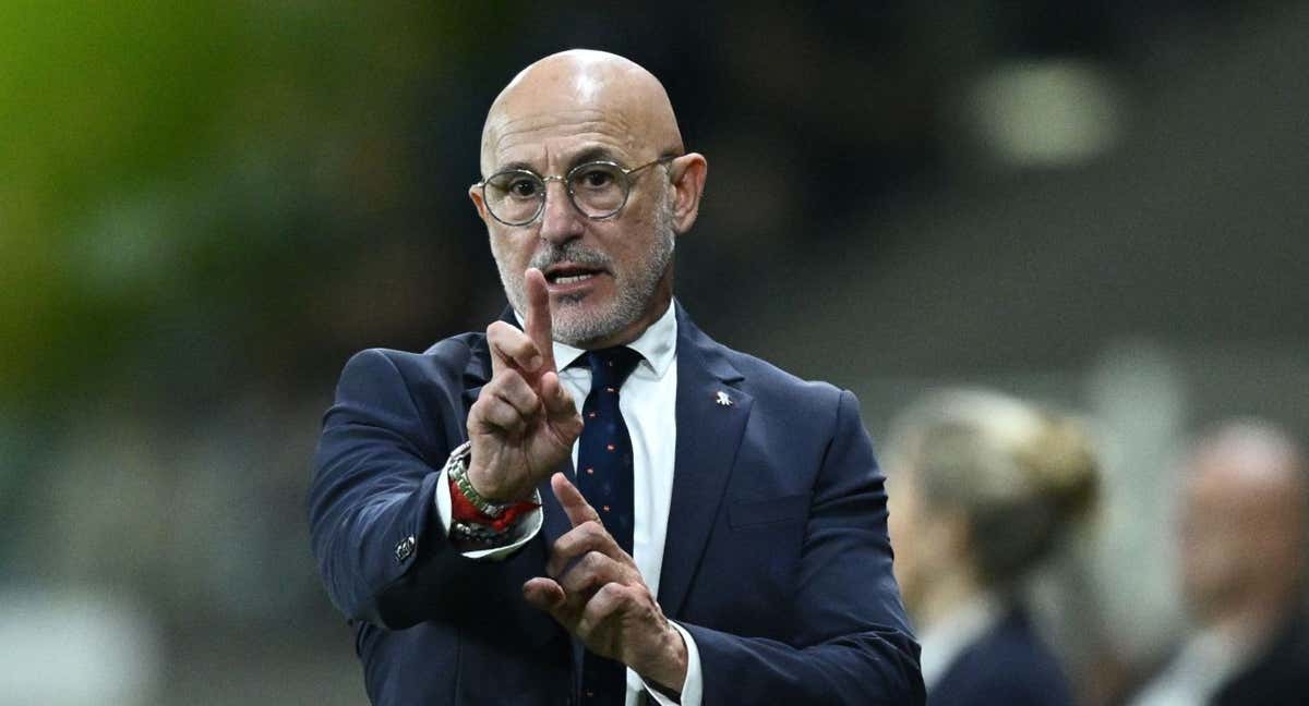 Luis de la Fuente, en un partido con España.