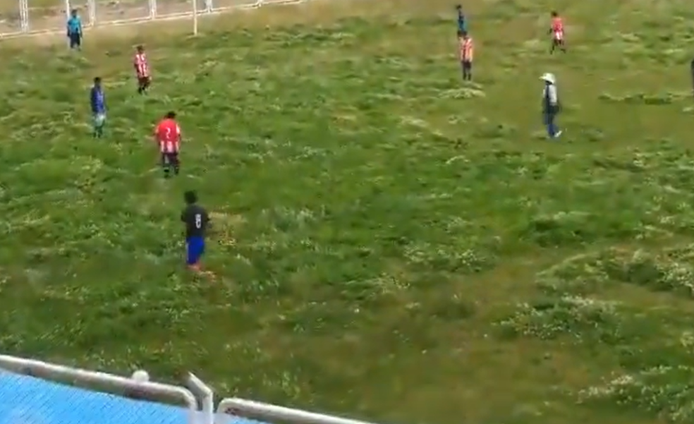 Detrás del césped viral de Perú está Jack Sparrow, una invasión de vacas y un premio de ascenso a la élite entre 25.000 equipos: «Es surrealista»