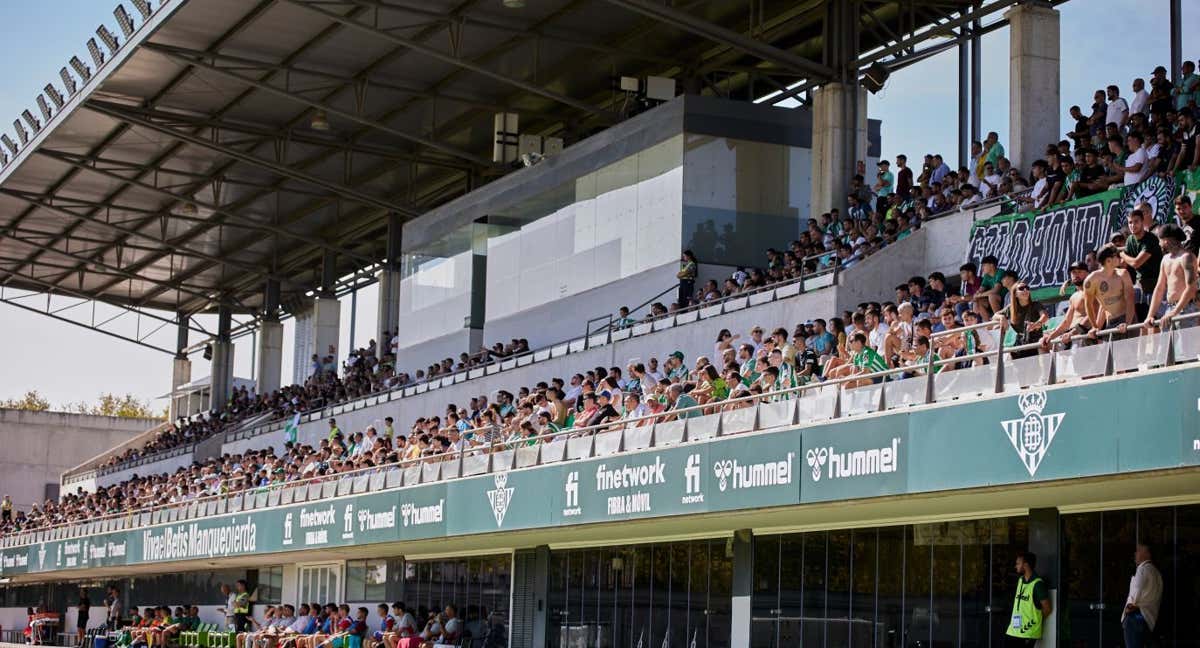 Tribuna principal de la ciudad deportiva del Betis. /REAL BETIS