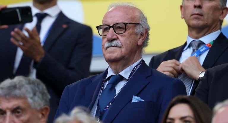 Del Bosque, en el palco, viendo el partido de España ante Albania.