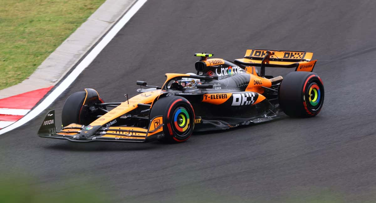 Lando Norris, el poleman de Hungría./REUTERS