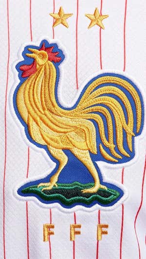 Escudo bordado de la selección de fútbol de Francia  Nike