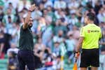 Bordalás sale del Villamarín con tres partidos de sanción por ironizar sobre la valentía del árbitro