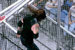 La WWE recupera el Bad Blood, PLE en el que organizó el primer combate Hell in a Cell