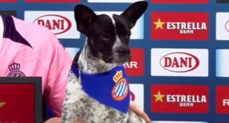 Pol Lozano salió la rueda de prensa con su perro Mango, ¿por qué?