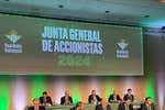 ¡Medina Cantalejo también es criticado en la Junta del Betis!