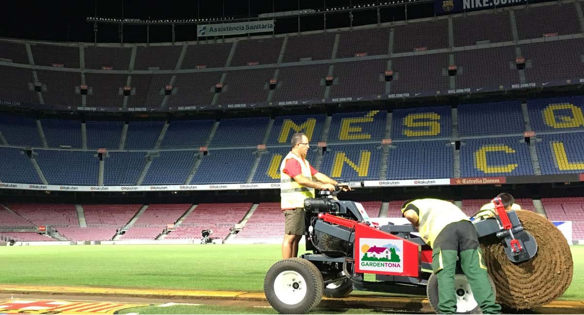 Los operarios de Garden Tona en el anterior Camp Nou. /GARDEN TONA